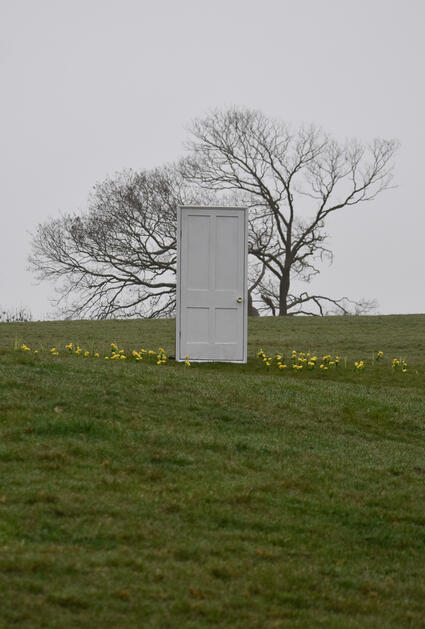 AWN Meadow - Door